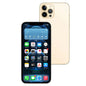 iPhone 12 Pro Max Used Phone 128GB Gold [Grade-C]