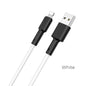HOCO X21 Silicon Lightning Fast Charging Cable - White (L=1M)