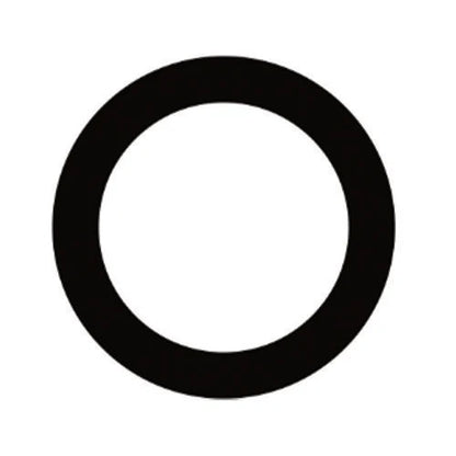 iPhone 6 Plus Rear Camera LENS ONLY - BW100