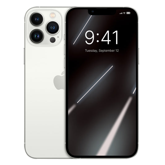 iPhone 13 Pro Max Used Phone 256GB Silver [A100]